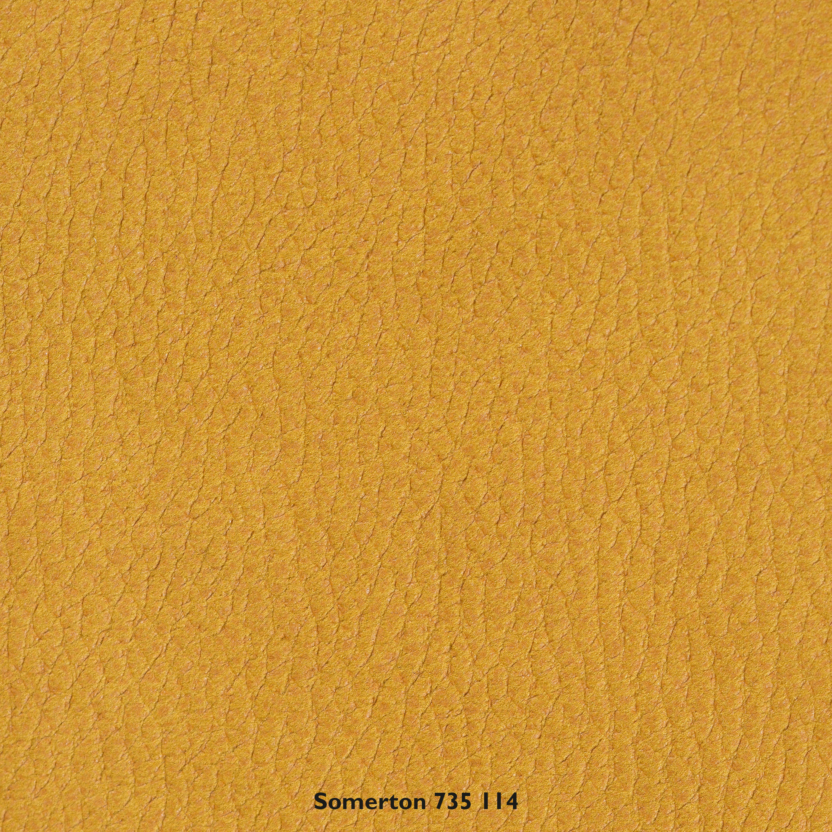 Möbelstoff Somerton FR 735-114 138cm Kollektion Easy Velvet 735